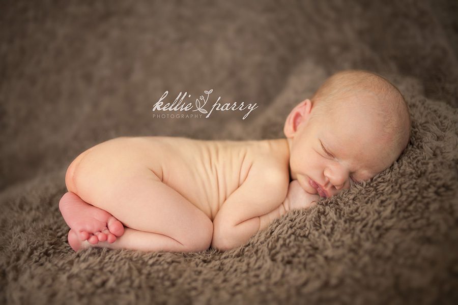 Fuzzy Baby Fuzzy Baby