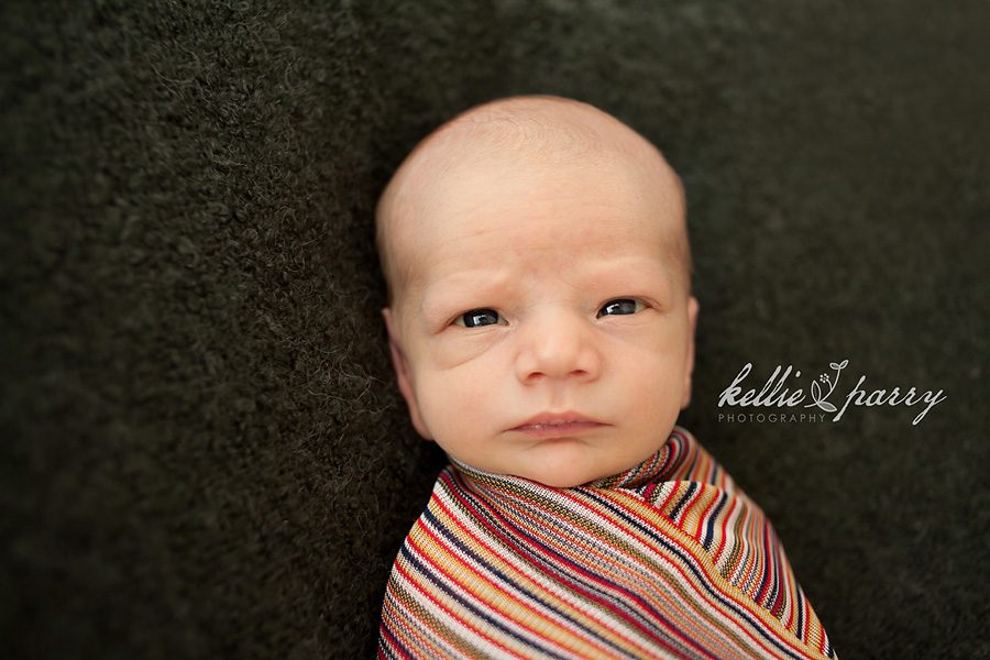 Hello World Hello World