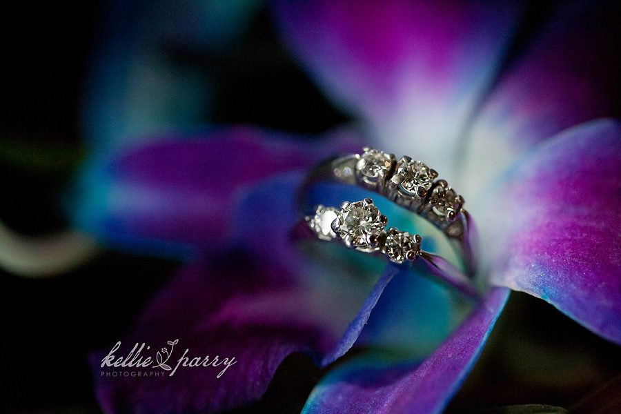Rings in an orchid