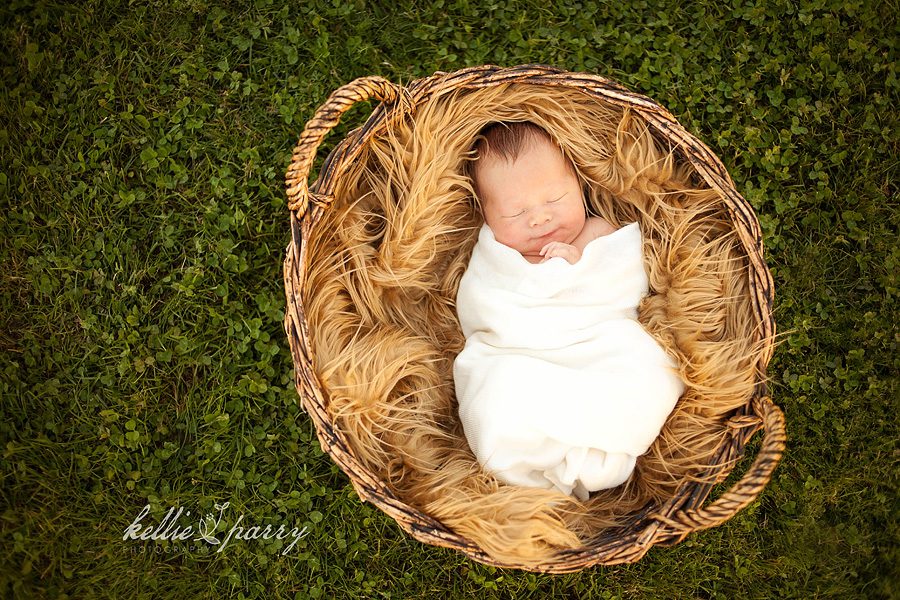 Baby in a basket Baby in a Basket