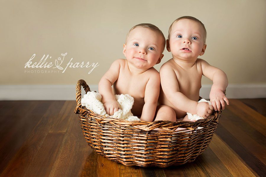 twins in a basket twins in a basket