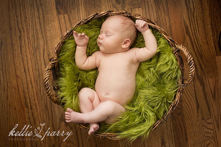 baby with green fur in basket baby with green fur in basket