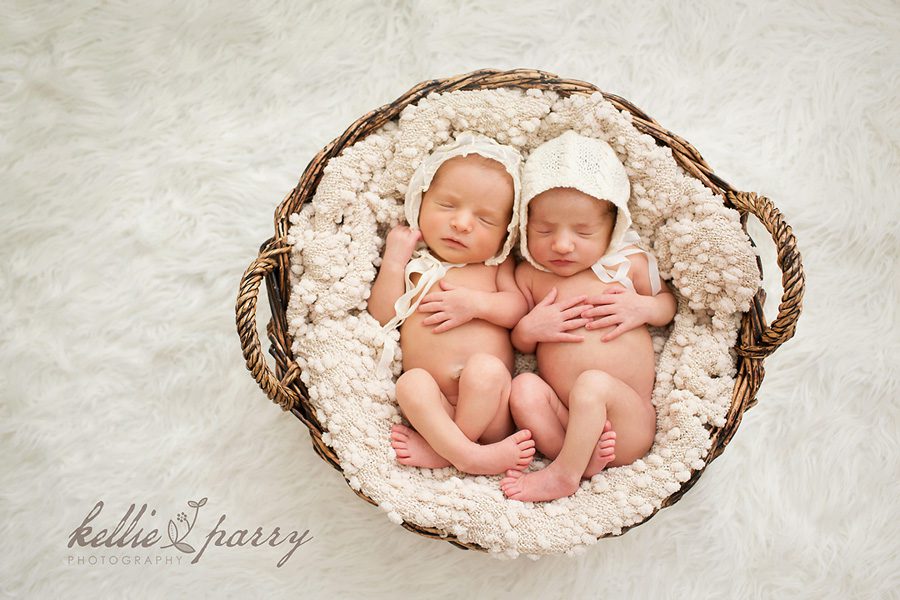 twins in a basket