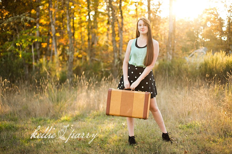 suitcase