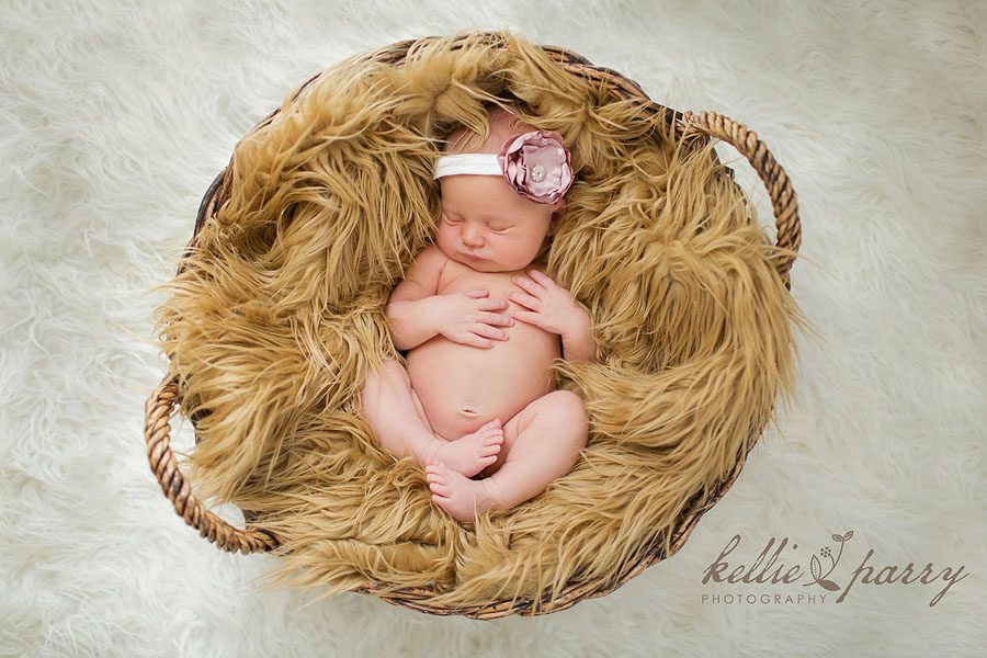 newborn baby in basket