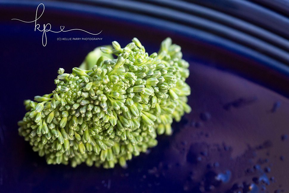 macro of broccoli