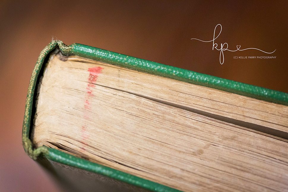closeup macro of old book