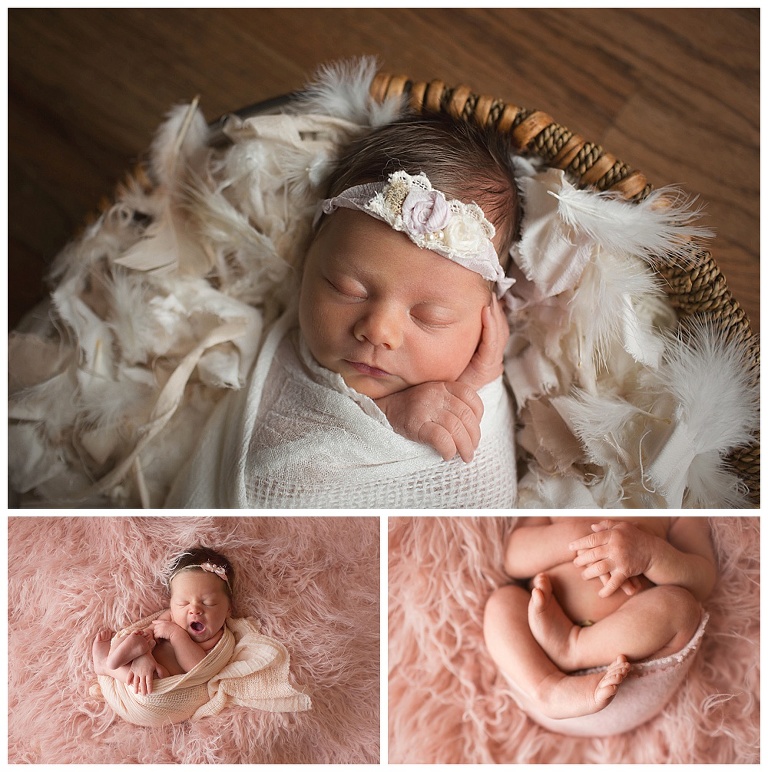 pink and feathers newborn