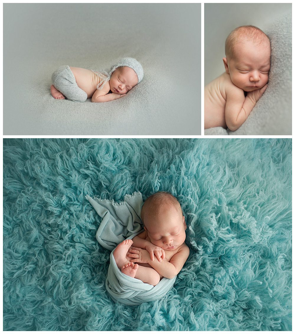 posed newborn
