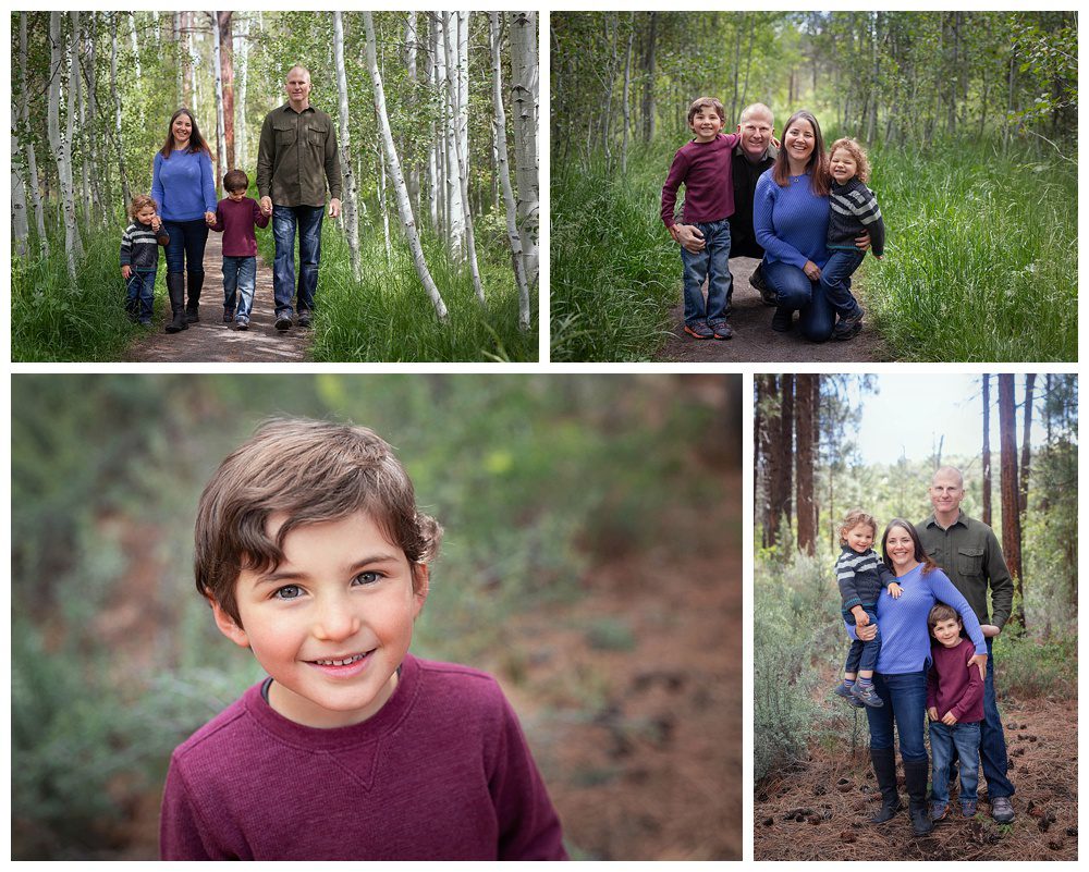 shevlin 2