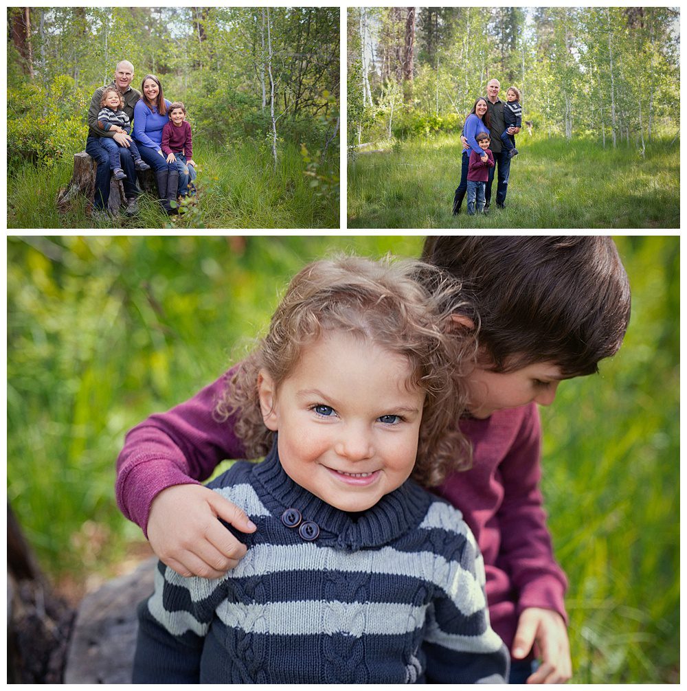shevlin 3