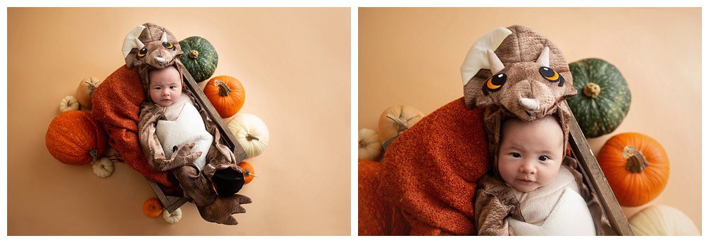 halloween baby mini session