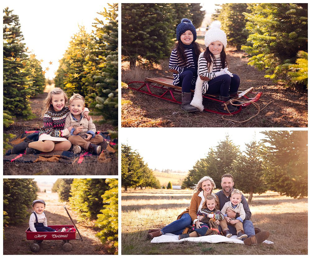 holiday mini sessions