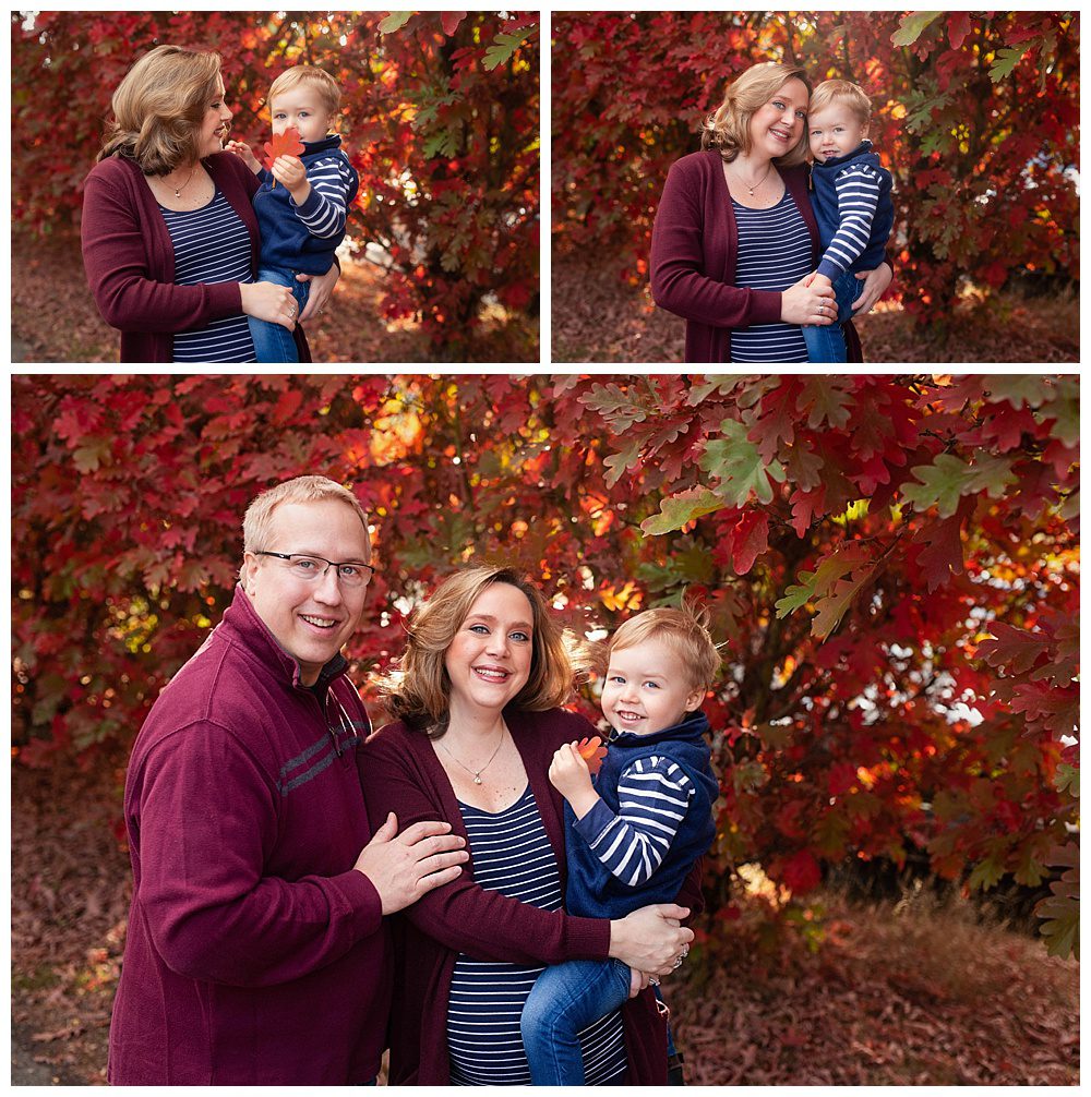 fall leaves maternity photos