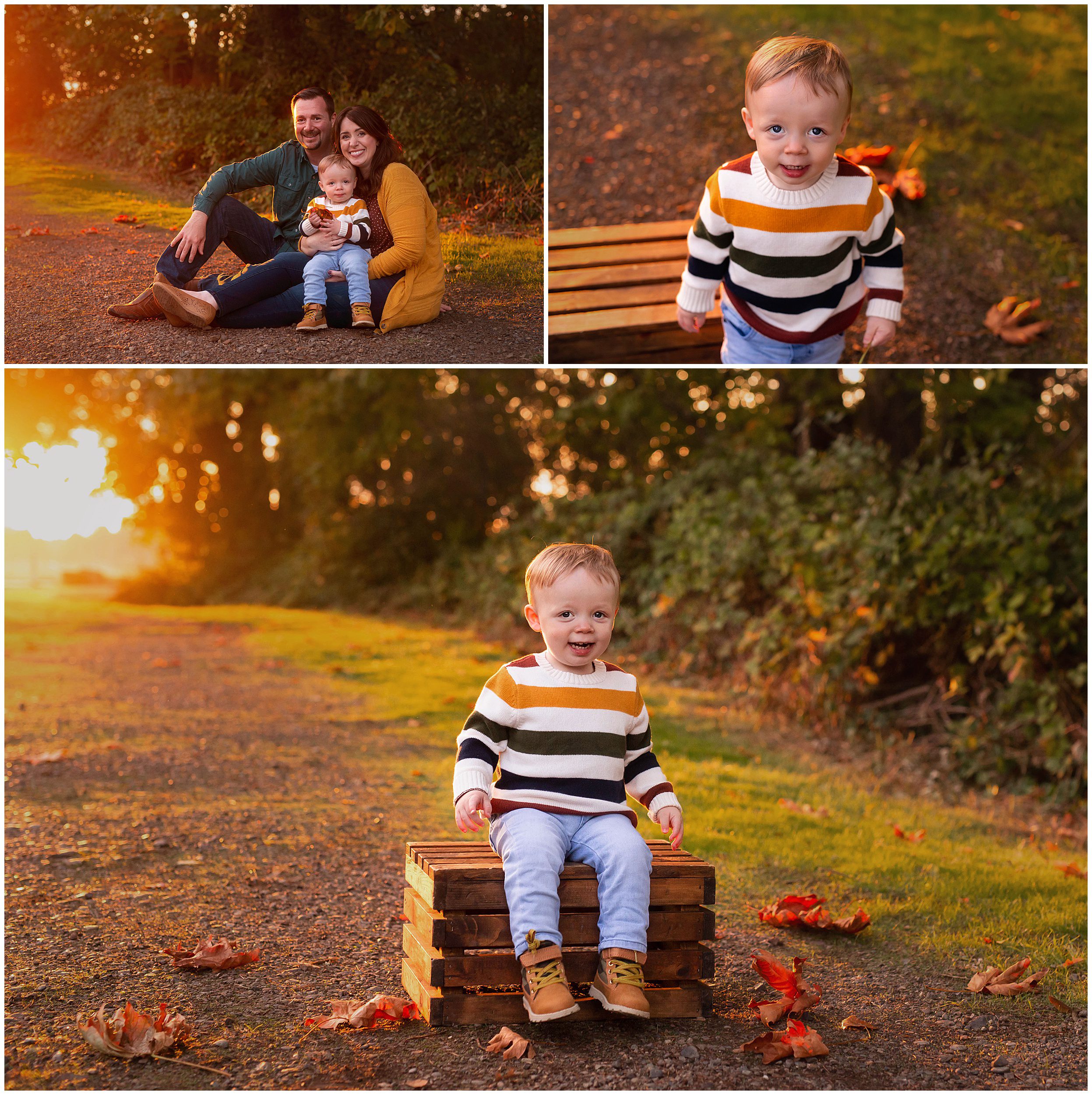 fall mini session