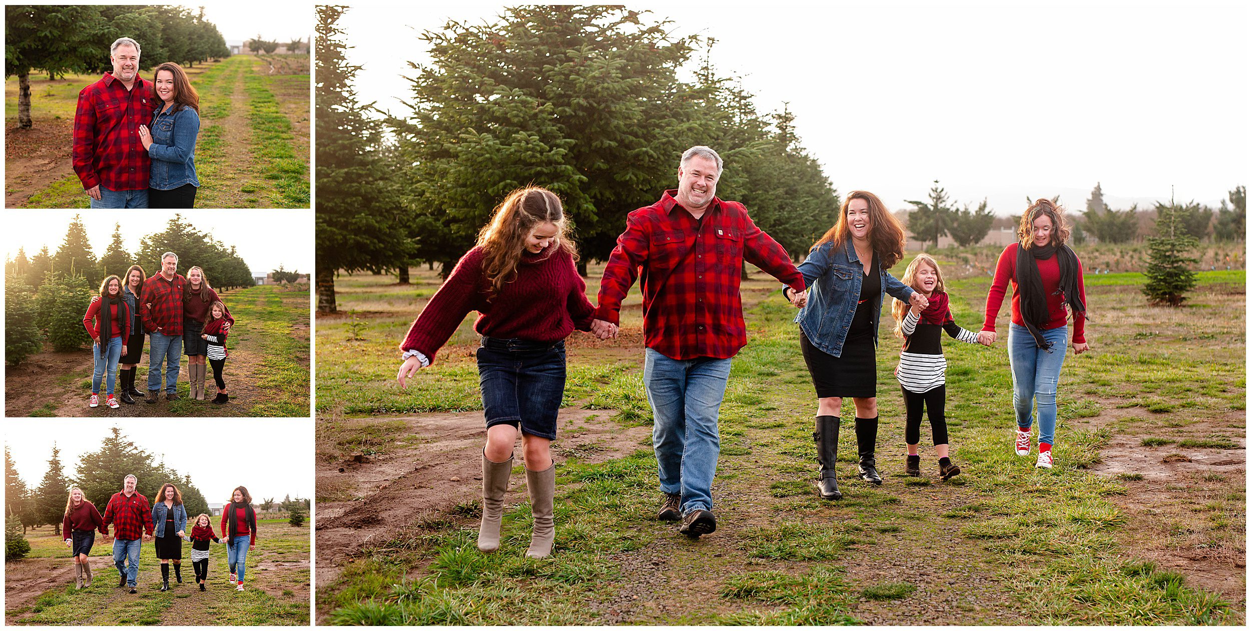 christmas tree farm mini session