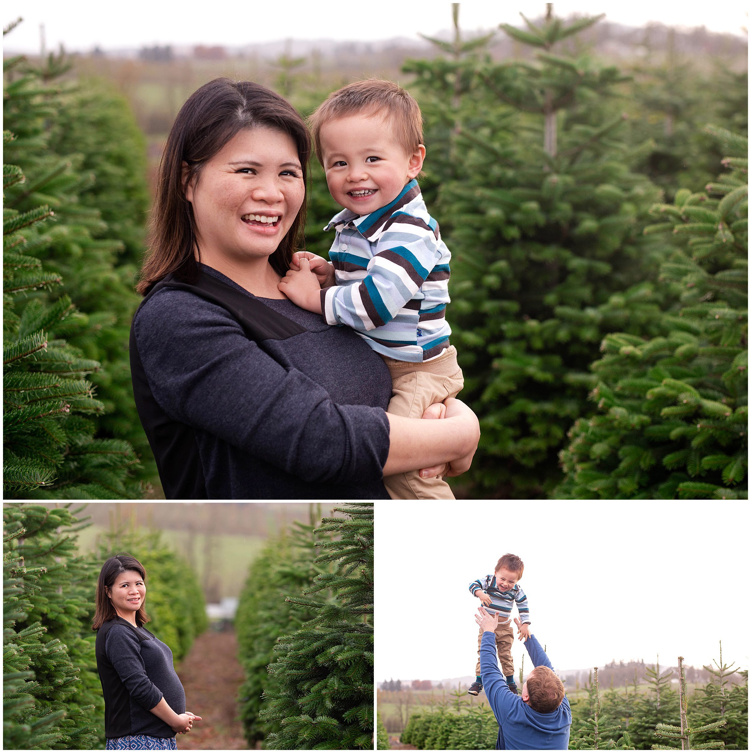 christmas tree farm mini session