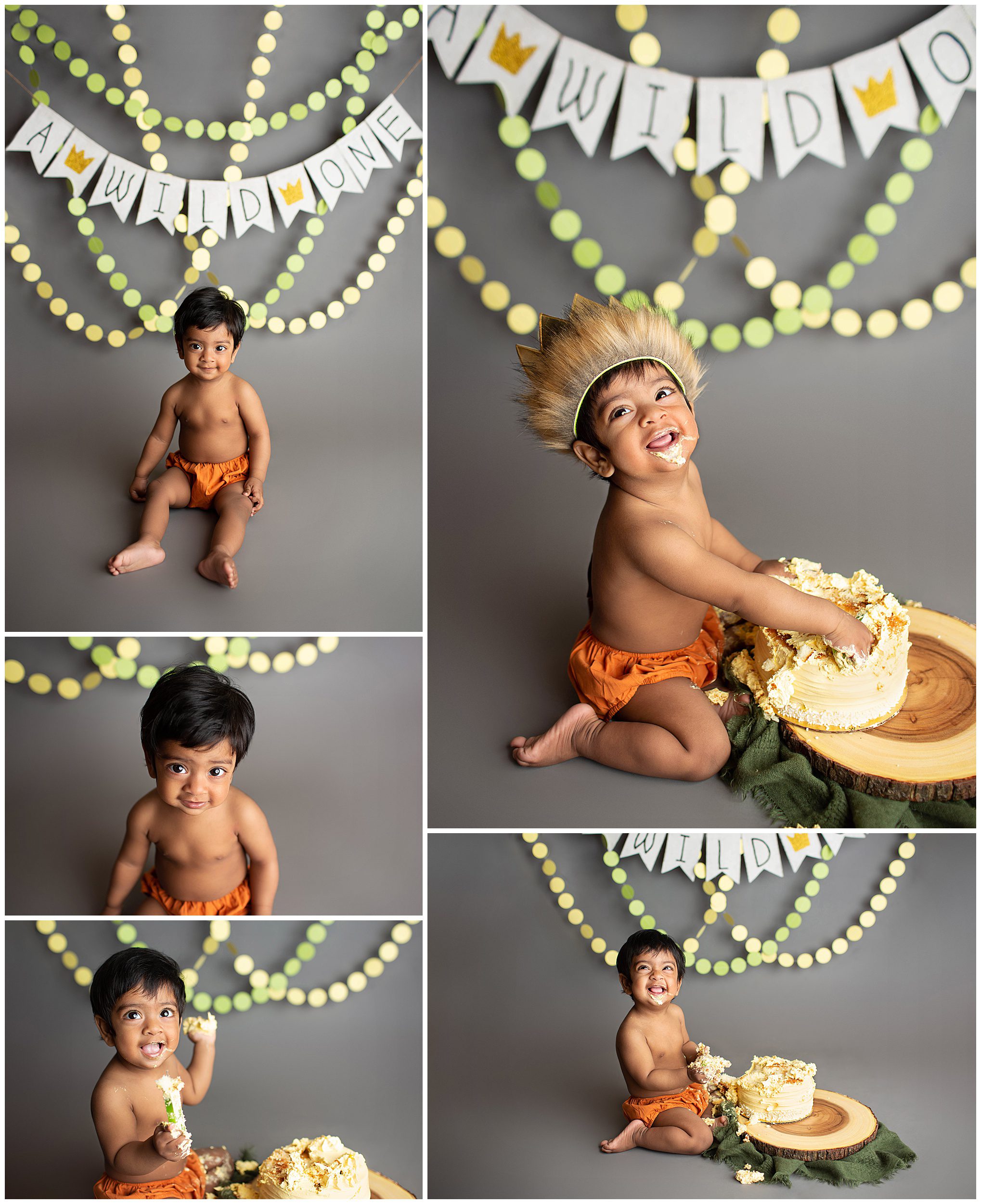 wild one cake smash