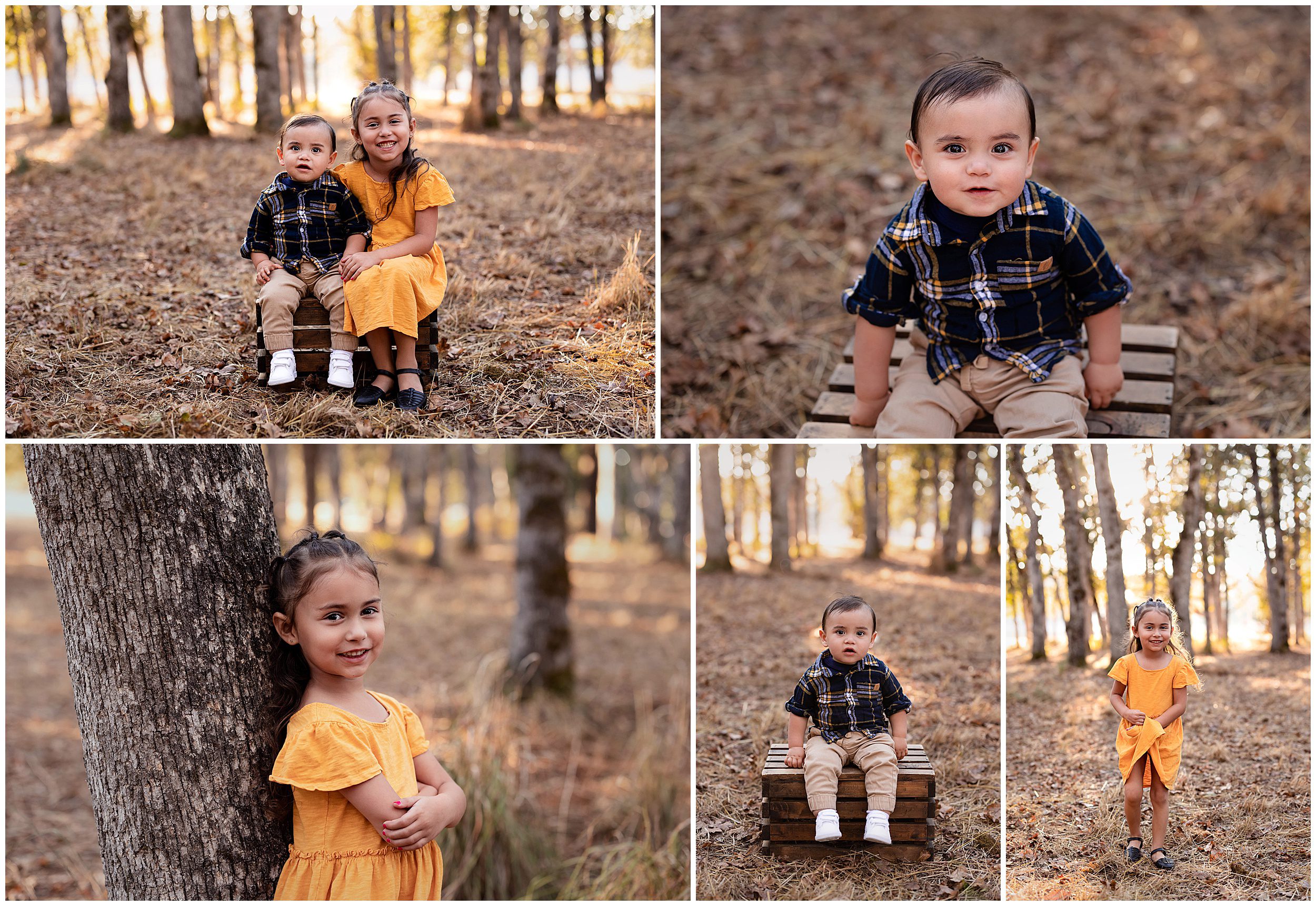 fall photo session with brother and sister in the park
