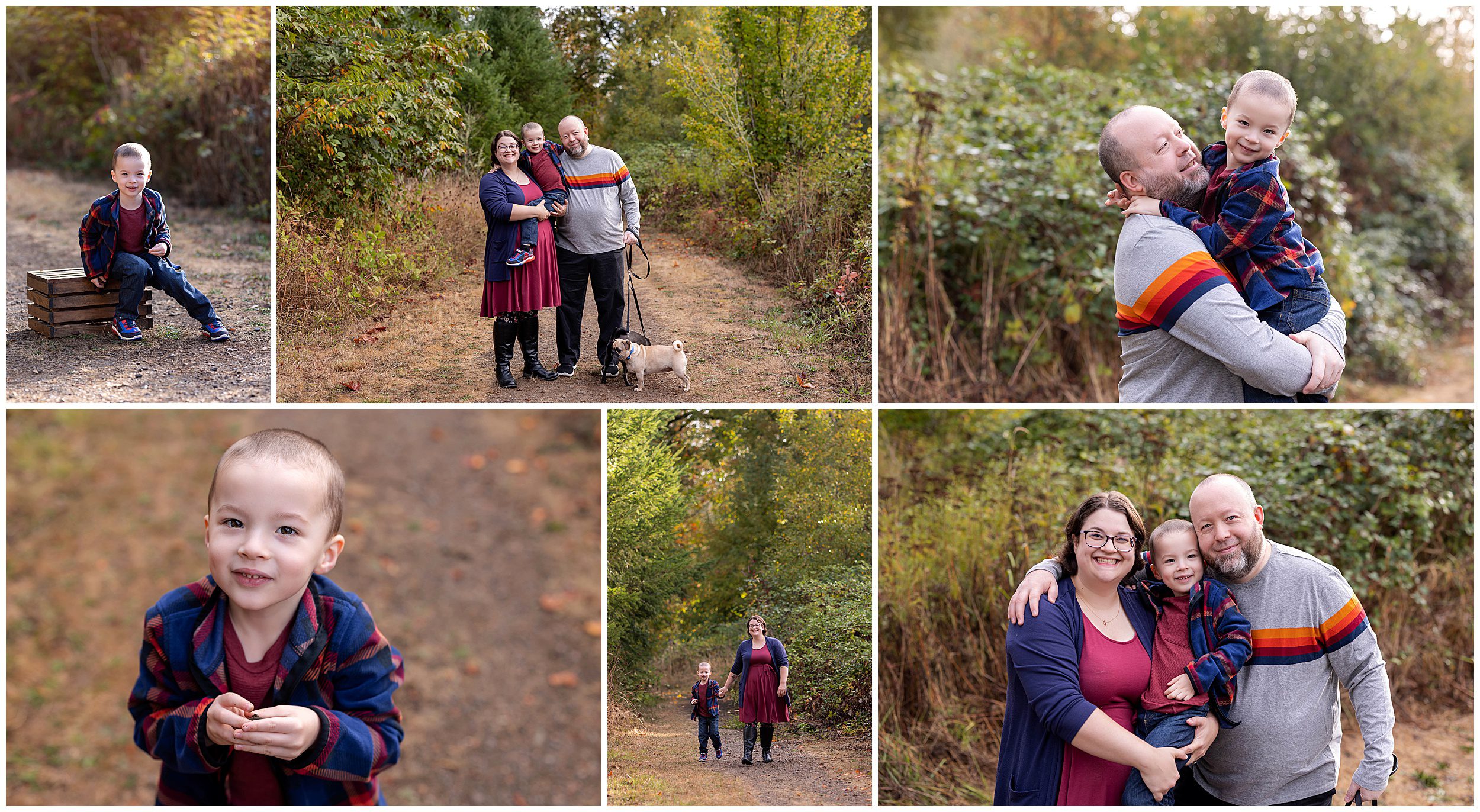 fall family photos in a park